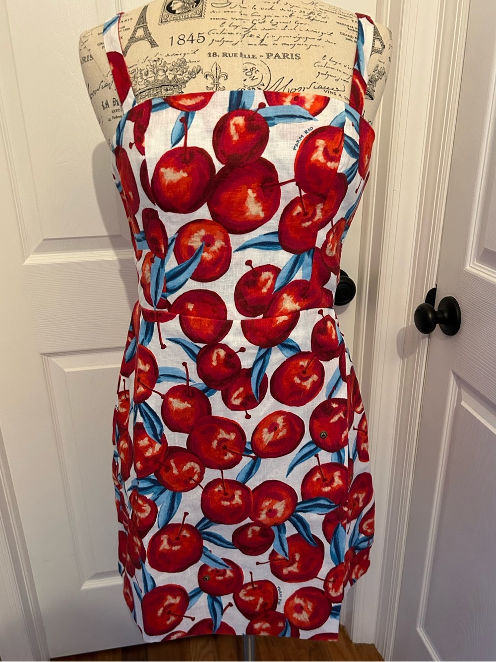 Farm Rio Cherry Blossom Sleeveless Mini Dress - Picture 4 of 8